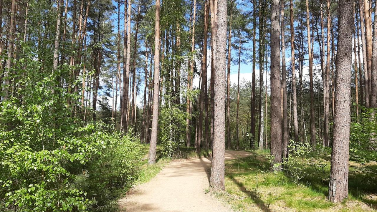 Forest Rooms Bad Bevensen Εξωτερικό φωτογραφία